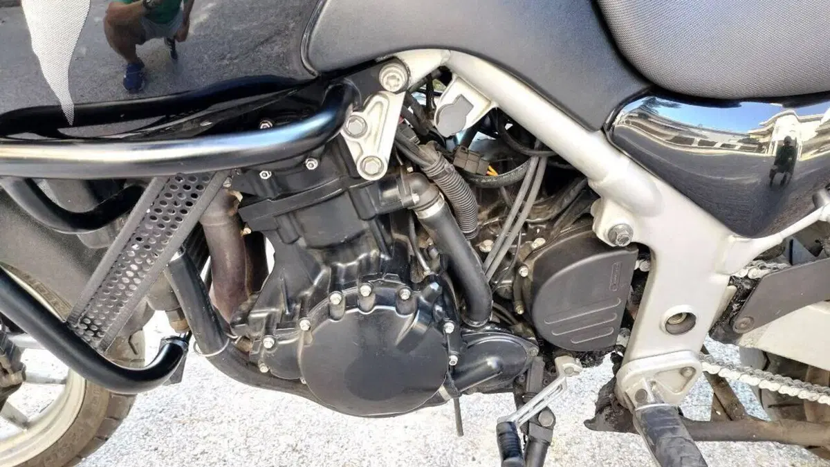 Triumph Tiger 955 (2002 - 06)  (11)