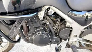 Triumph Tiger 955 (2002 - 06)  (11)