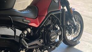 Benelli Leoncino 500 (2021 - 25) 