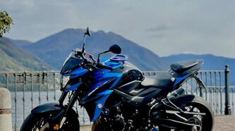 Suzuki GSX S 750 Yugen (2018 - 20)