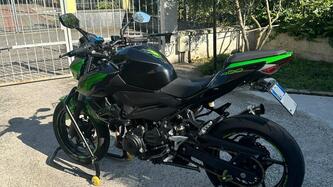 Kawasaki Z 400 (2019 - 20)