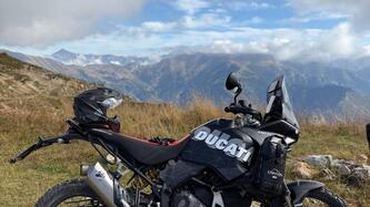 Ducati DesertX (2022 - 25) usata