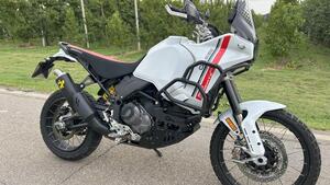 Ducati DesertX (2022 - 25) 