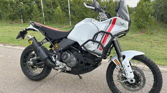 Ducati DesertX (2022 - 25) usata