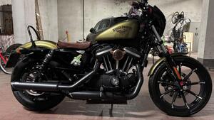 Harley-Davidson 883 Iron (2014 - 16) - XL 883N 