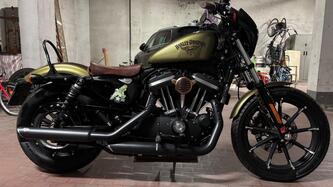 Harley-Davidson 883 Iron (2014 - 16) - XL 883N
