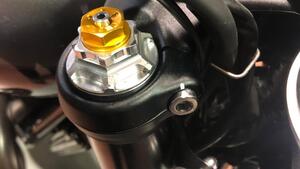 Triumph Speed Twin 1200 (2019 - 20) 