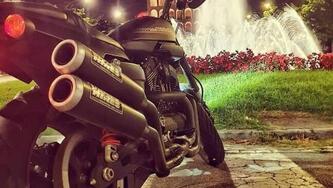Harley-Davidson 1200 XR X (2010 - 12)
