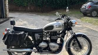 Triumph Bonneville 800 (2002 - 07) usata