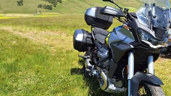Moto Guzzi Stelvio PFF (2024 - 25) usata