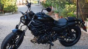 Kawasaki Eliminator 500 (2024 - 25) 