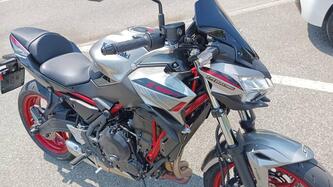 Kawasaki Z 650 (2021 - 24)