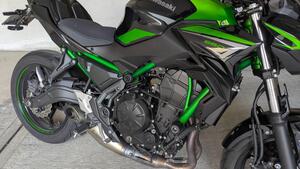 Kawasaki Z 650 Performance (2021 - 24) 