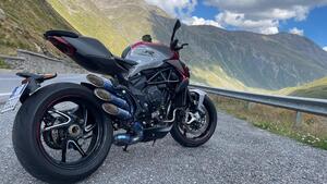 MV Agusta Brutale 800 RR (2017 - 20) 