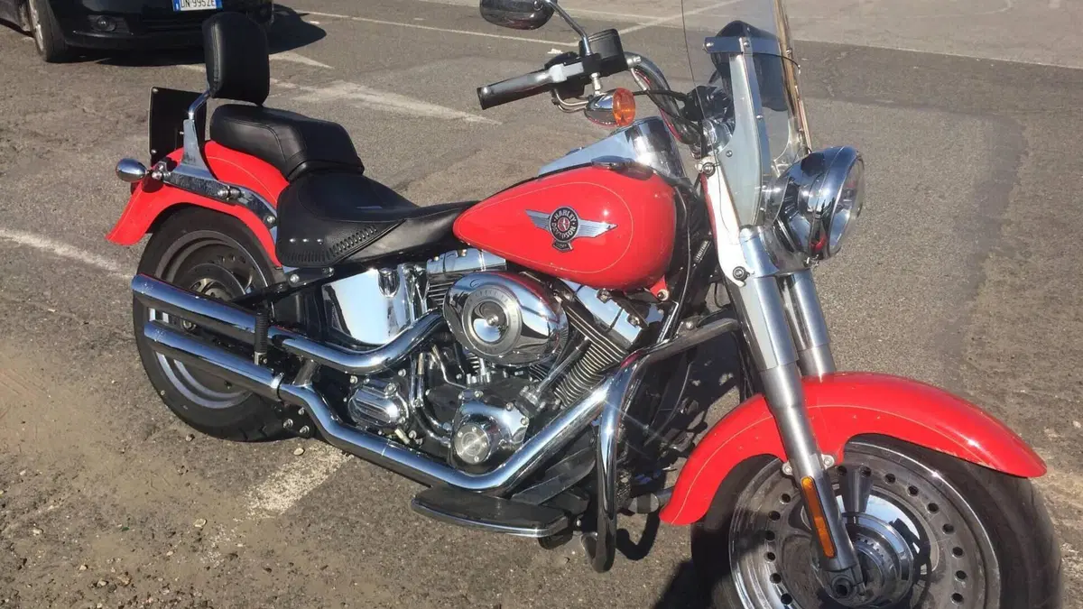 Harley-Davidson 1584 Fat Boy (2008 - 10) - FLSTF  (2)