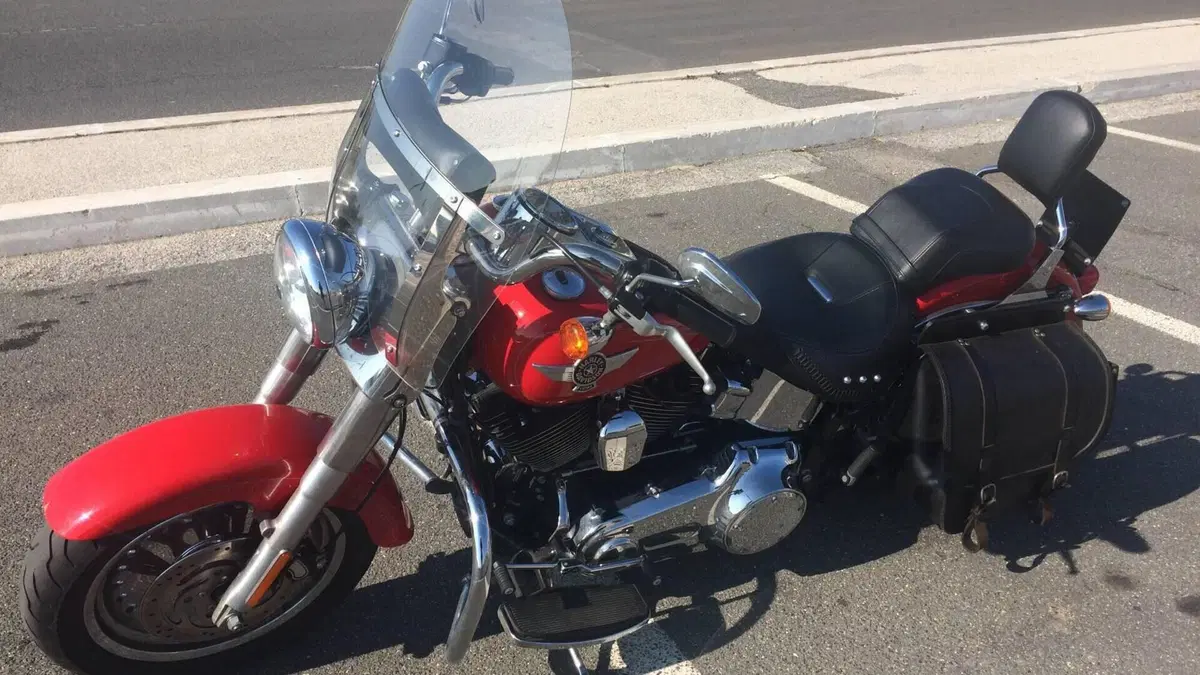 Harley-Davidson 1584 Fat Boy (2008 - 10) - FLSTF  (3)