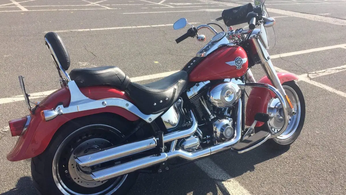 Harley-Davidson 1584 Fat Boy (2008 - 10) - FLSTF  (5)