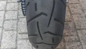 Triumph Tiger 900 Rally (2020 - 23)  (10)