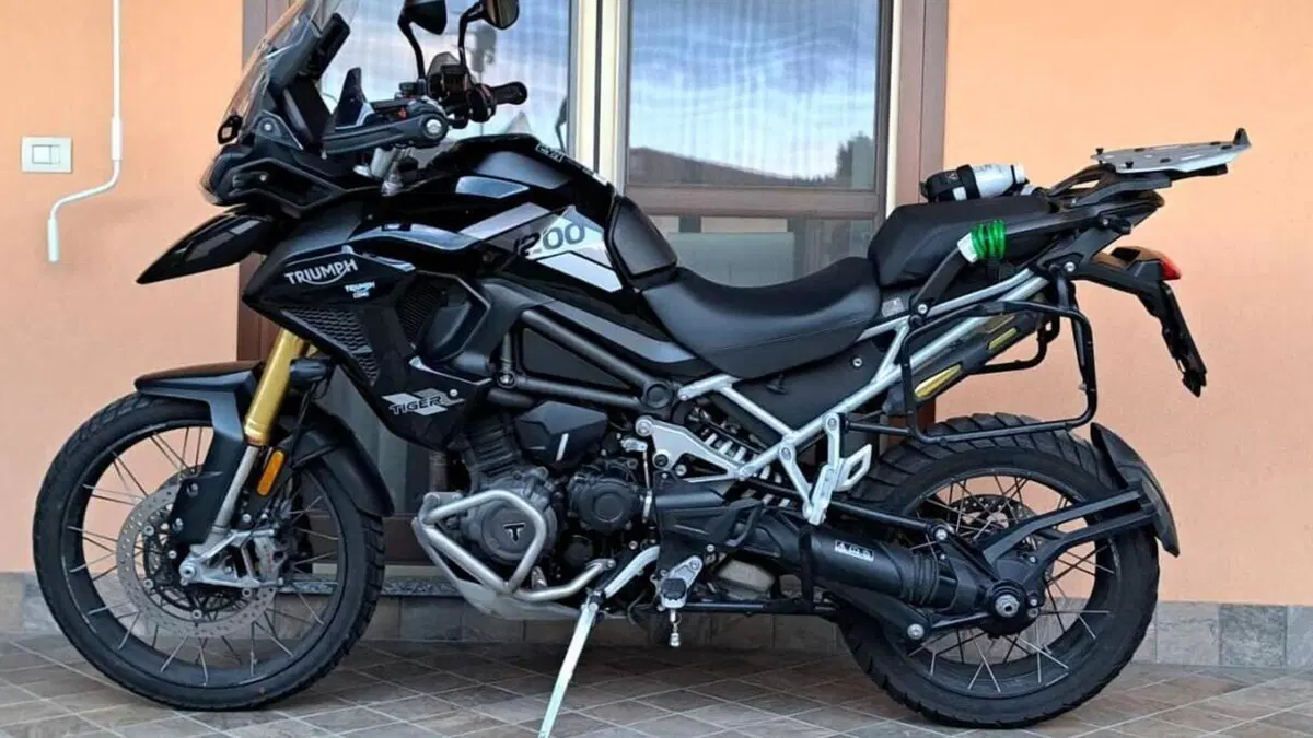 Triumph Tiger 1200 Rally Pro (2022 - 23)  (2)