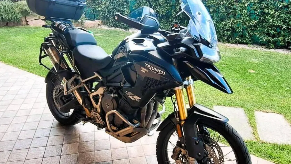 Triumph Tiger 1200 Rally Pro (2022 - 23)  (4)