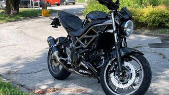 Suzuki SV650 (2021 - 24) usata