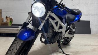 Suzuki SV 650 (1999 - 02) usata