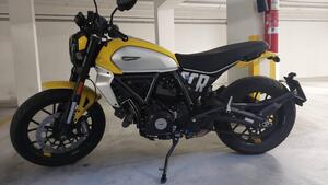 Ducati Scrambler 800 Icon (2023 - 25) 