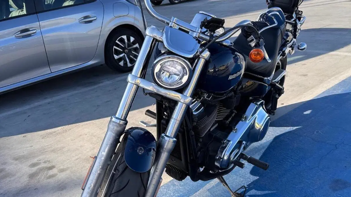 Harley-Davidson 107 Low Rider (2018 - 20) - FXLR  (4)