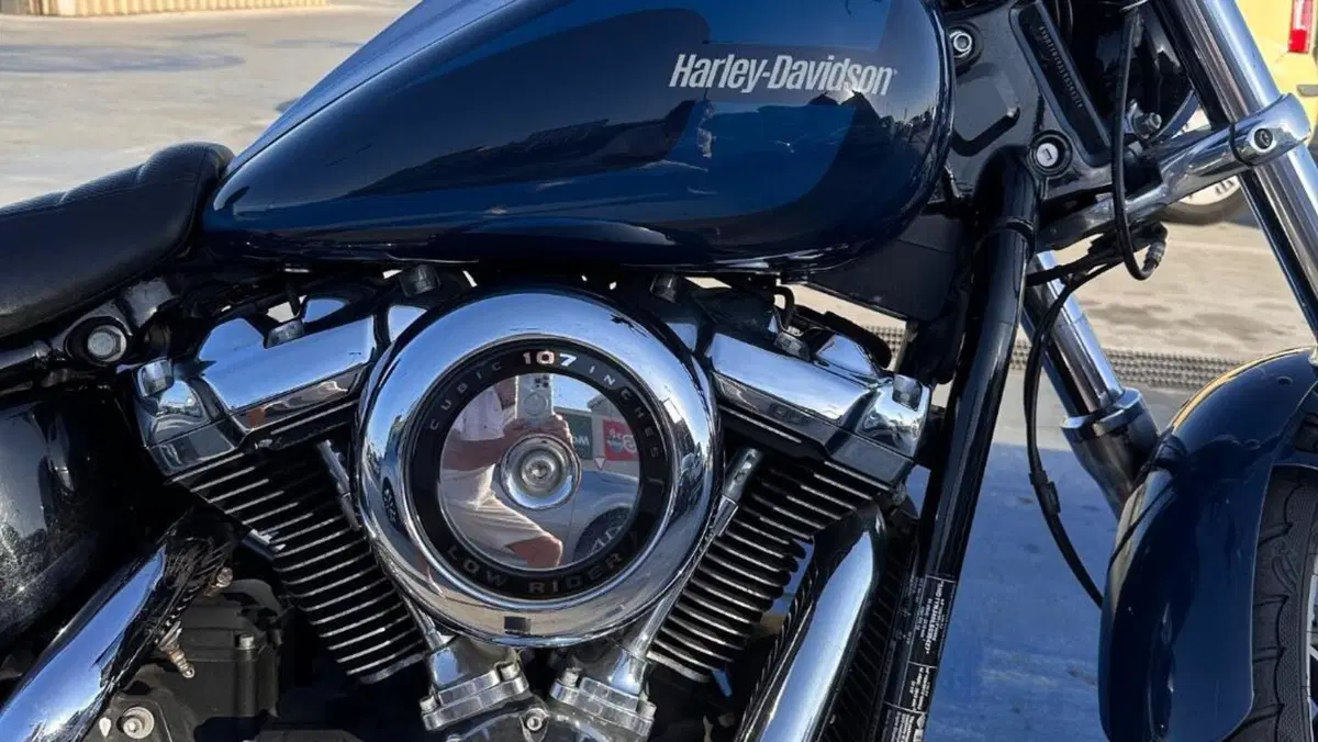 Harley-Davidson 107 Low Rider (2018 - 20) - FXLR  (6)