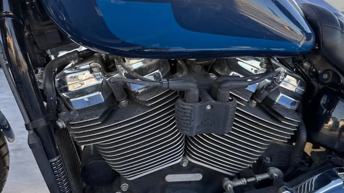 Harley-Davidson 107 Low Rider (2018 - 20) - FXLR  (7)