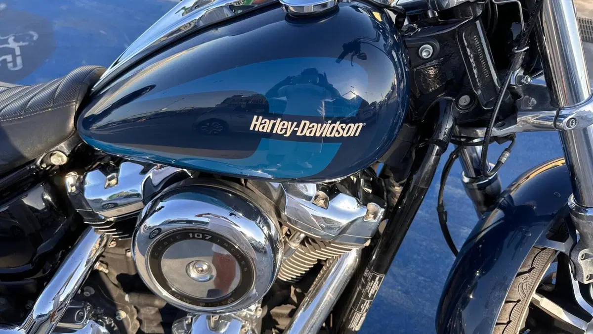 Harley-Davidson 107 Low Rider (2018 - 20) - FXLR  (10)