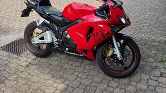 Honda CBR 600 RR (2003 - 04) usata