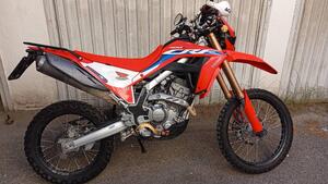Honda CRF 300 L (2021 - 24)