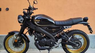 Yamaha XSR 125 Legacy (2022 - 24) usata