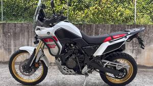 Yamaha Ténéré 700 Rally Edition (2022 - 24) 