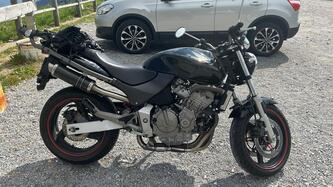Honda Hornet 600 (2000 - 02)