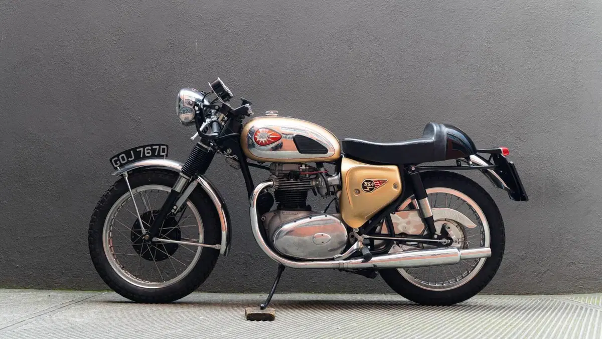Bsa   (2)