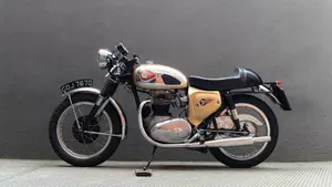 Bsa   (2)