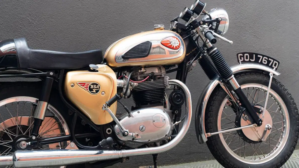 Bsa   (3)
