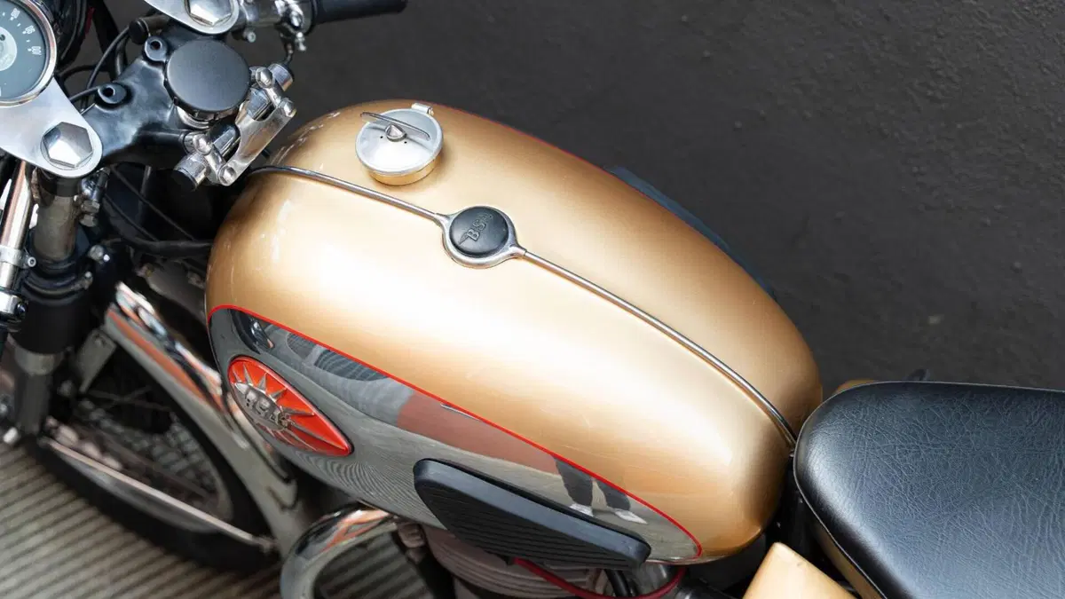 Bsa   (7)