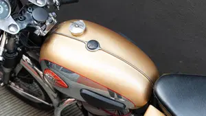 Bsa   (7)