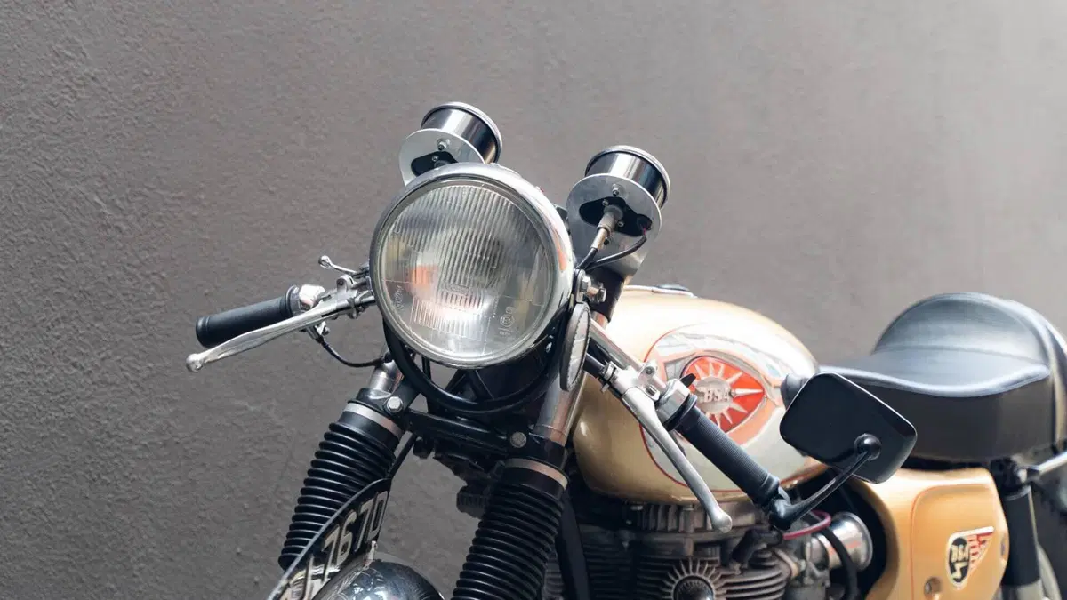 Bsa   (9)