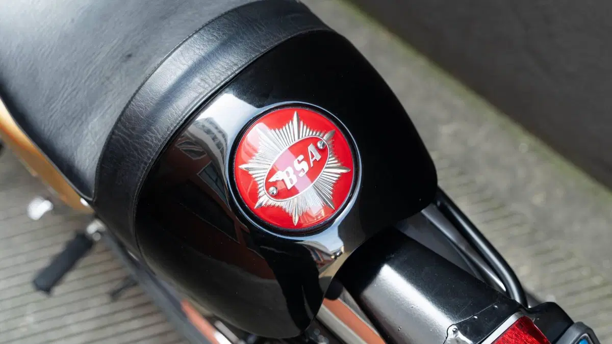 Bsa   (10)