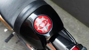Bsa   (10)