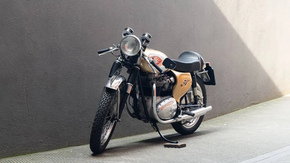 Bsa   (11)