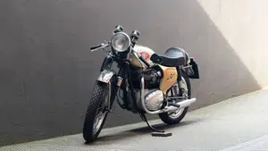 Bsa   (11)