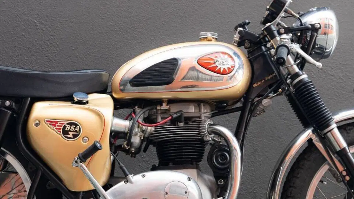 Bsa   (13)