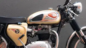 Bsa   (13)