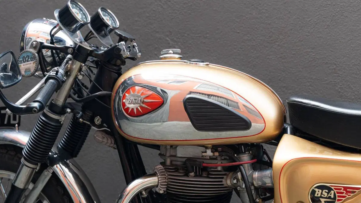 Bsa   (14)
