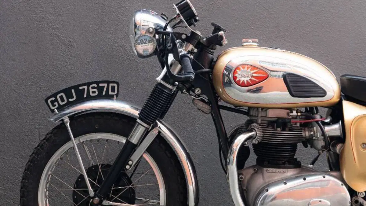 Bsa   (15)